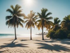 10 Best Things to Do in Hobie Island Beach Park Hobie Island Beach Park