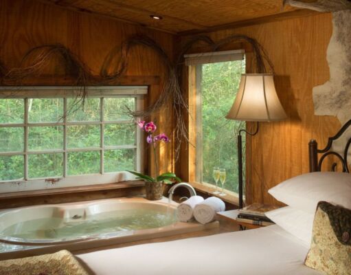 The 40 Best Hotel with Jacuzzi in Room Dallas Hotel with Jacuzzi in Room Dallas