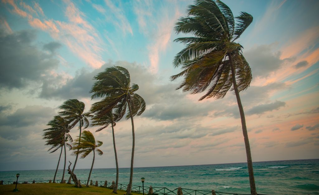 How Windy is It in February