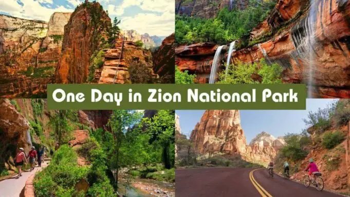 One Day in Zion National Park