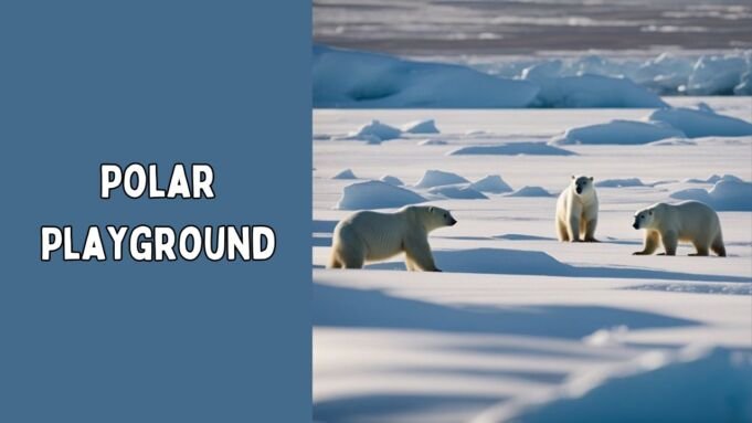 Polar Playground