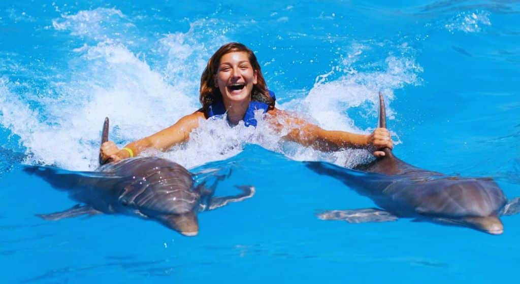 Preparing for Your Swimming with Dolphins