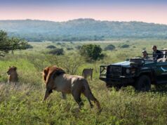 The 5 Best Safari Destinations from the United Kingdom Safari Destinations from the United Kingdom