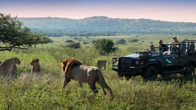 Safari Destinations from the United Kingdom