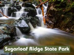Sugarloaf Ridge State Park – A Gateway to Adventure and Serenity Sugarloaf Ridge State Park