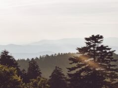 6 Tips to Plan the Ultimate Mountain Getaway in 2024 Tips to Plan the Ultimate Mountain Getaway