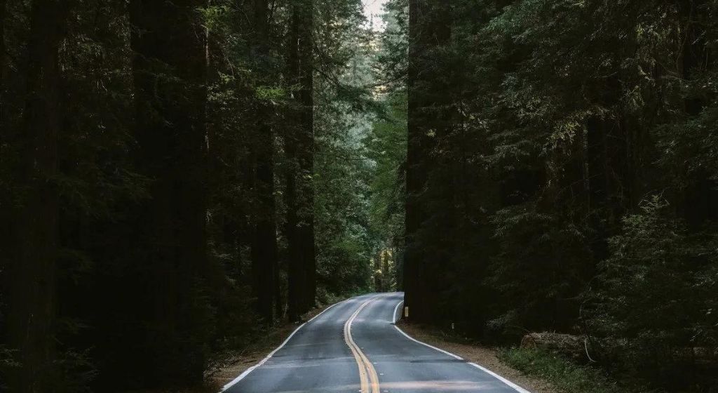 Avenue of the Giants from San Francisco
