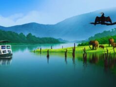 Journey Through Kerala: Enchanting Tourist Attractions You Can’t-Miss Tourist Destinations in Kerala