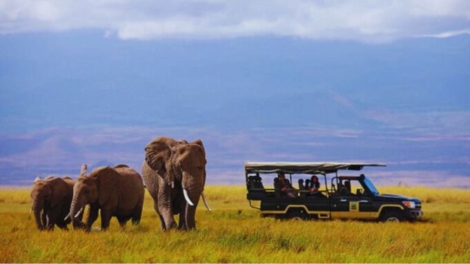Game Drive on African Kenya Safaris