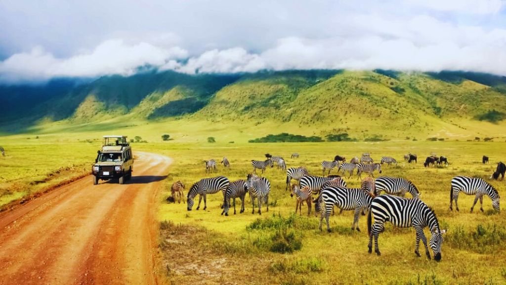 Most Popular Safari Countries