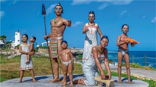 Encountering Friendly Sea Turtles