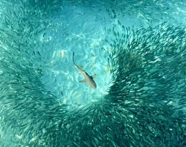 Exploring caves in Vietnam