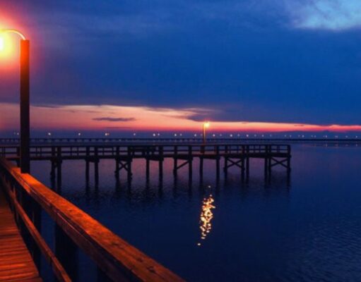 Meaher State Park: A Natural Retreat in Alabama’s Delta Meaher State Park