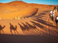 The Best Desert Adventures in Saudi Arabia: From Sand Dunes to Starry Nights Desert Adventures in Saudi Arabia