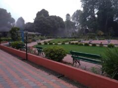 Shrubbery Nightingale Park, Darjeeling: A Tranquil Retreat Amidst the Hills Shrubbery Nightingale Park