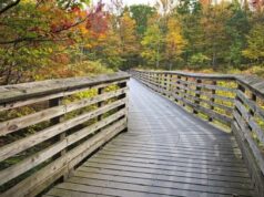 Plan Your New Jersey Getaway: Fun Things To Do In The Garden State Fun Things To Do In The Garden State