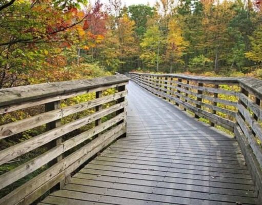 Plan Your New Jersey Getaway: Fun Things To Do In The Garden State Fun Things To Do In The Garden State