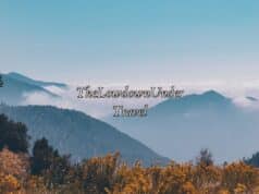 TheLowdownUnder Travel: Ultimate Guide to Exploring Australia & New Zealand TheLowdownUnder Travel