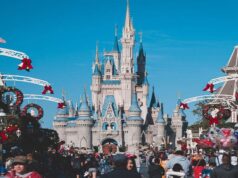 The Ultimate Guide to Using a Disney Vacation Planner for a Magical Trip Disney Vacation Planner
