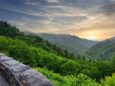 Making the Most of a Family Road Trip to the Smoky Mountains Family Road Trip to the Smoky Mountains