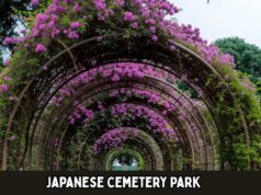 Exploring the Tranquil Beauty of Japanese Cemetery Park Japanese Cemetery Park