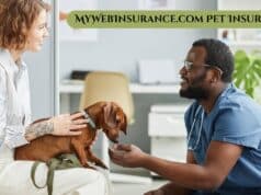 MyWebInsurance.com Pet Insurance – Coverage for Your Furry Friends MyWebInsurance.com Pet Insurance