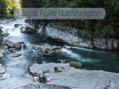 Eagle Falls Washington – A Complete Visitor’s Guide Eagle Falls Washington