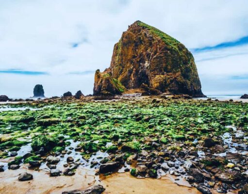 Discovering the Wonders of Haystack Rock Tide Pools: A Natural Treasure in Cannon Beach Haystack Rock Tide Pools
