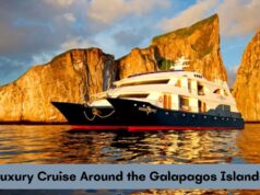 What to Expect on a Luxury Cruise Around the Galapagos Islands? Luxury Cruise Around the Galapagos Islands