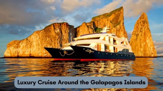 Luxury Cruise Around the Galapagos Islands Luxury Cruise Around the Galapagos Islands