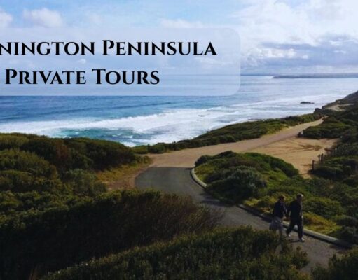 Exploring Australia’s Coastal Gems: A Guide to Mornington Peninsula’s Private Tours Mornington Peninsula Private Tours