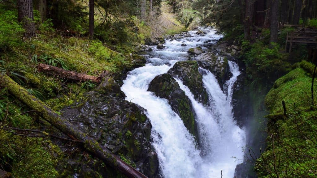 Sol Duc Falls Trail