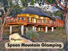 Spoon Mountain Glamping – Where Comfort and Wilderness Unite Spoon Mountain Glamping
