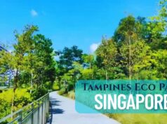 Tampines Eco Park Singapore: Explore Hidden Urban Wilderness Tampines Eco Park Singapore