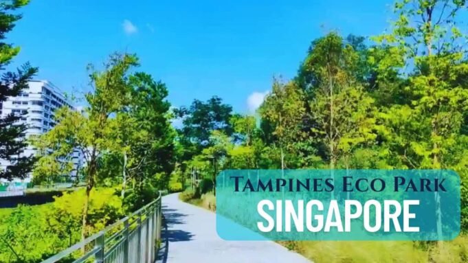 Tampines Eco Park Singapore Tampines Eco Park Singapore