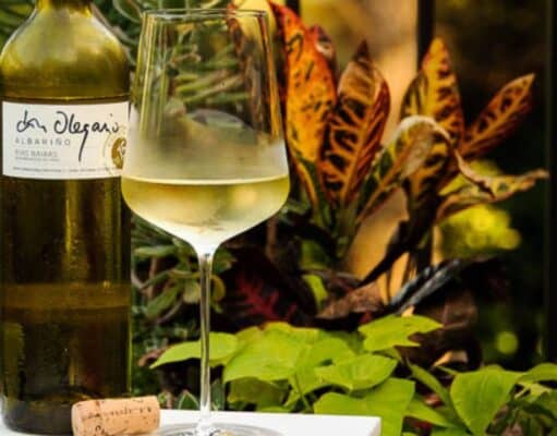 International Albariño Day 2025 (Friday, August 1) Albariño Day