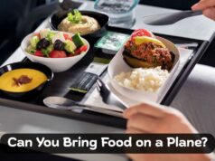 Can You Bring Food on a Plane? TSA Rules and Travel Tips Can You Bring Food on a Plane
