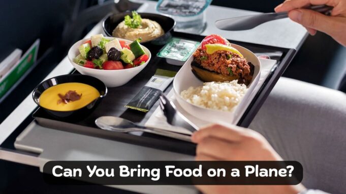 Can You Bring Food on a Plane Can You Bring Food on a Plane