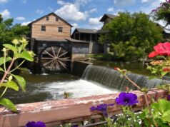Day Trips From Pigeon Forge: Exploring the Smokies and Beyond Day Trips From Pigeon Forge