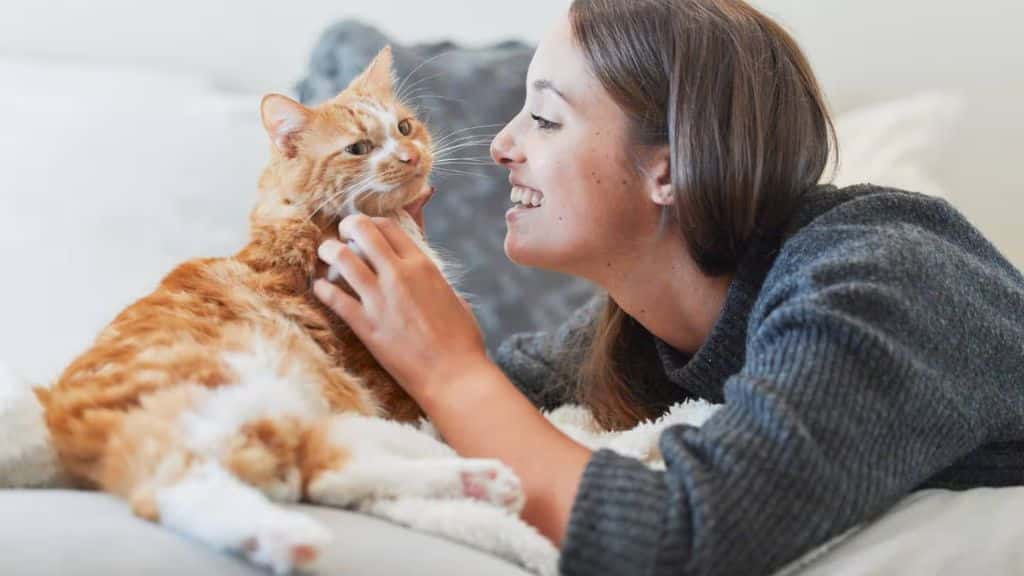 International Cat Day