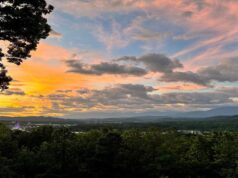 Why Pigeon Forge is the South’s Favorite Getaway? Why Pigeon Forge is the South’s Favorite Getaway