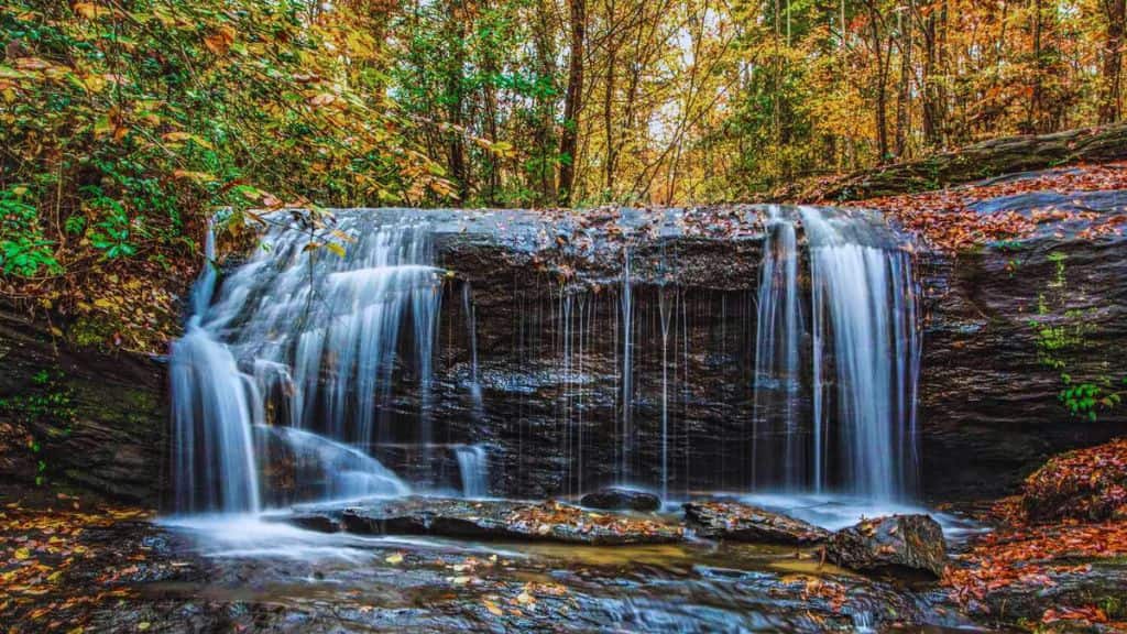 Best Times to Visit in South Carolina