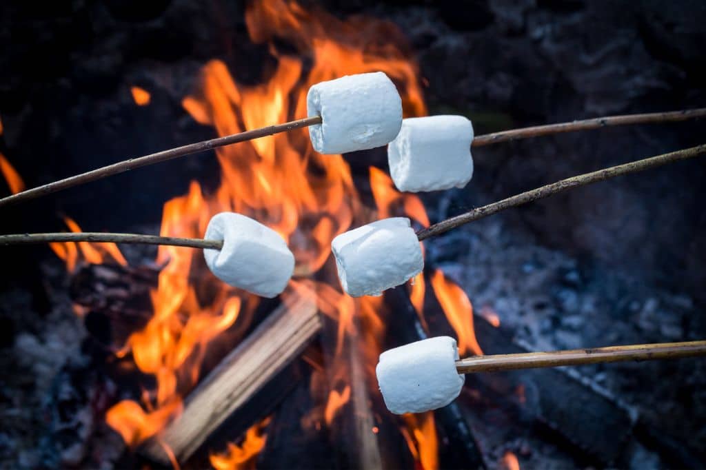 National Toasted Marshmallow Day