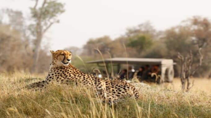 Five Ways to Customize Your Safari Experience in Africa Five Ways to Customize Your Safari Experience in Africa