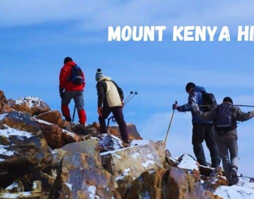 Kilimanjaro or Mount Kenya Hiking: Honest Guide to Choosing Your Peak Mount Kenya Hiking