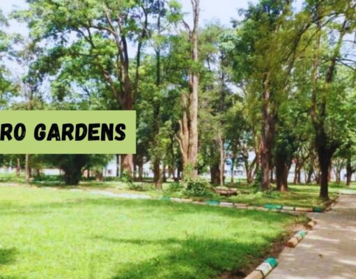 Muliro Gardens: Kakamega’s Green Jewel with a Colorful Past Muliro Gardens