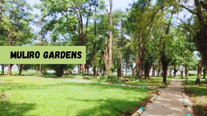 Muliro Gardens Muliro Gardens