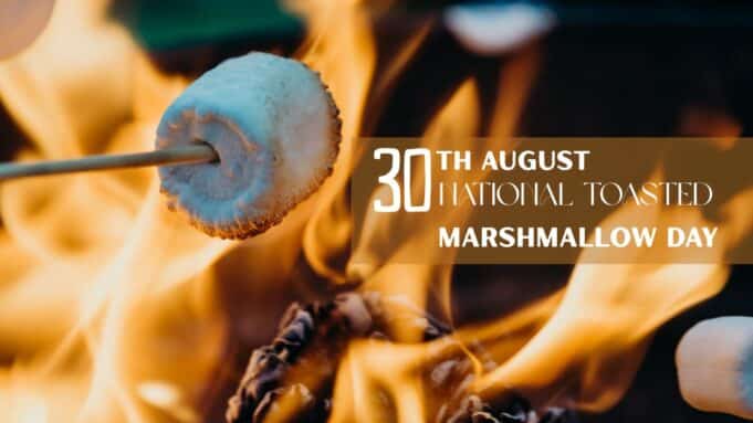 National Toasted Marshmallow Day National Toasted Marshmallow Day
