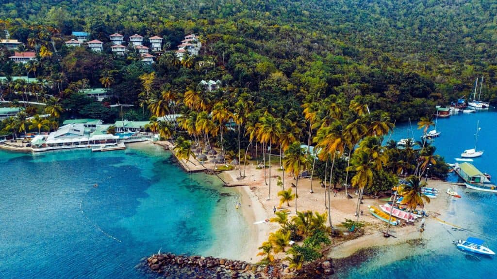 Prepare and Submit Your Application