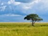 Secret Safari Spots – Unique Tanzania Safari Ideas for Adventurous Travelers Tanzania Safari